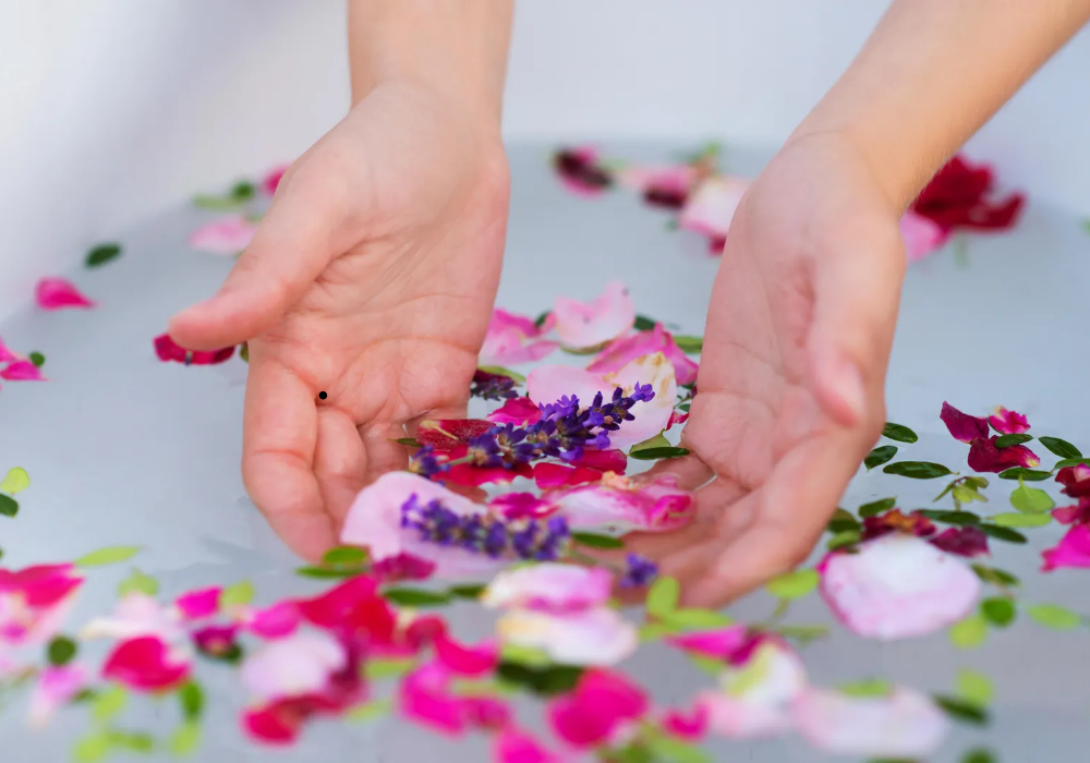 5d4b60a5ab3709a238ac991a0634aca0_1774588384_6447.png 5d4b60a5ab3709a238ac991a0634aca0_1774588384_6447.png