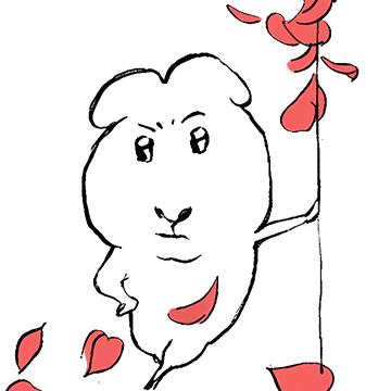 카카오 이모티콘